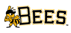 Is new Salt Lake Bees ballpark in the works–or is MLB the final goal? -  Ballpark Digest